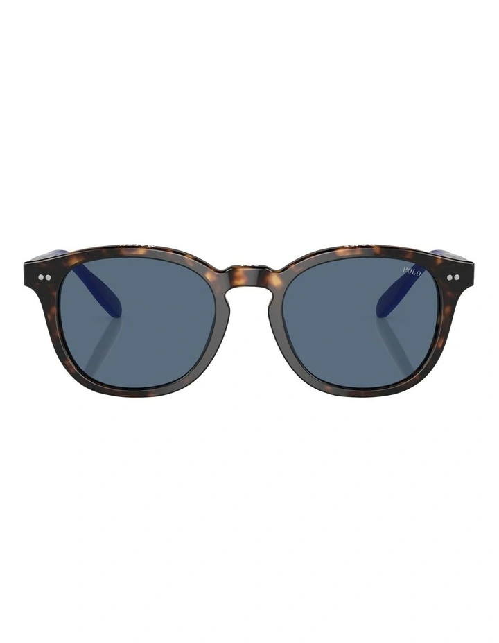 PH4206 Sunglasses in Tortoise