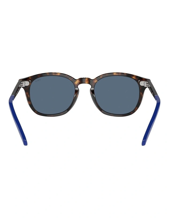 PH4206 Sunglasses in Tortoise