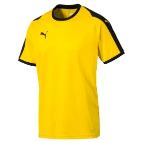 Puma Pitch Shortsleeved Jersey