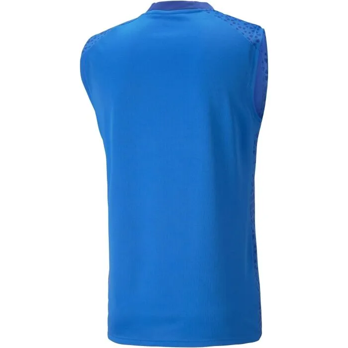 Puma TEAMCUP TRAINING JERSEY SL