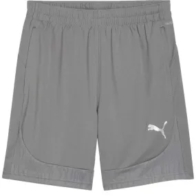 Puma TEAMFINAL TRAINING SHORTS