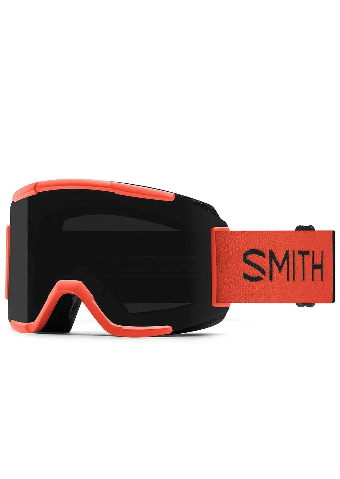 Smith Squad Goggles